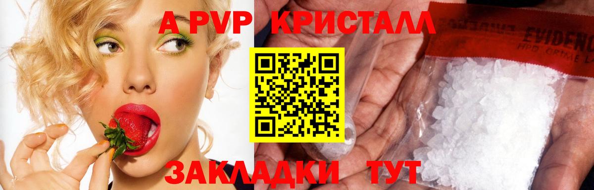 Альфа ПВП СК Кизилюрт