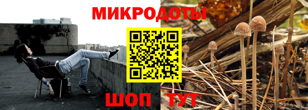Галлюциногенные грибы Magic Shrooms  Галлюциногенные грибы GOLDEN TEACHER  Вход с VPN  Кизилюрт 